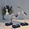 Amazon EXCEART 3pcs Wooden Seagull Figurine Nautical Decorations