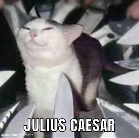 Julius Caesar : r/HistoryMemes