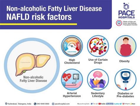 Nafld And Nash Symptoms Causes Differences And Treatment Options