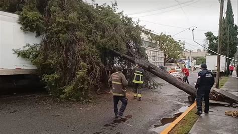 Lluvia deja encharcamientos y caída de árboles en Naucalpan Capital