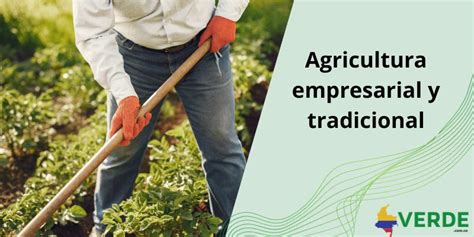 Agricultura Empresarial Y Tradicional Colombia Verde