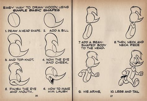 How To Draw Woody Woodpecker Step By Step Woody Woodpecker Draw Step