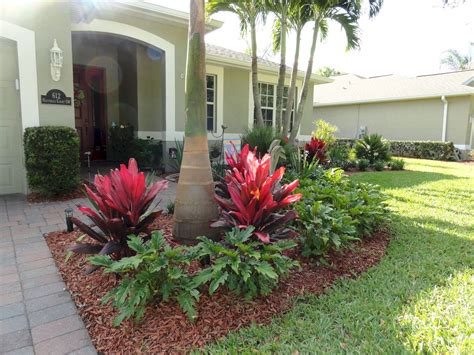 Best Low Maintenance Plants For South Florida At Peter Rose Blog