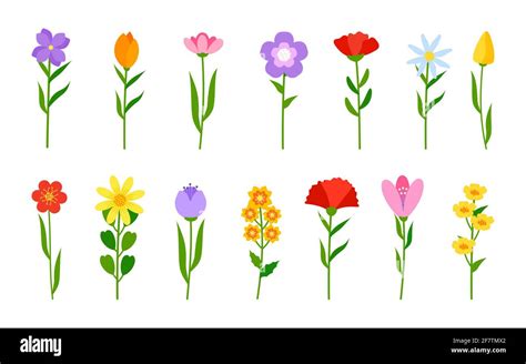 Different colored flowers in flat cartoon style set. Floral romantic ...