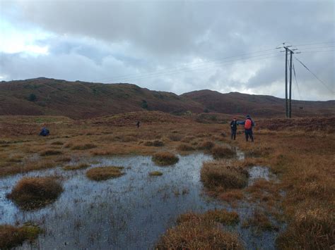 Blawith Common Bryophyte Trip Report November Cumbria Lichens