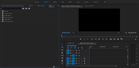 Cara Membuat Sequence Yang Benar Di Adobe Premiere Pro Ogasite