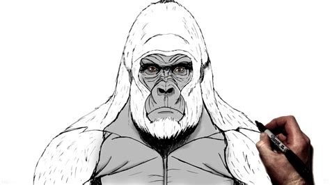 How To Draw A Gorilla Step By Step YouTube