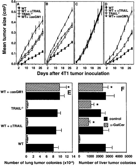 Trail Contributes To The Suppression Of Primary 4t1 Tumor Growth And