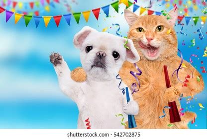 Happy New Year Dogs And Cats Photos and Images | Shutterstock