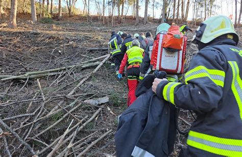 Eisacktal Waldarbeiter Verletzt Sich Schwer UnserTirol24