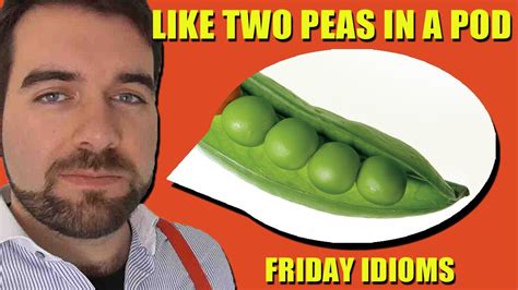 Like Two Peas In A Pod English Idioms Youtube