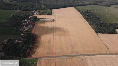 Działka Nowica bez pośrednika 1500 m2 150 000 zł