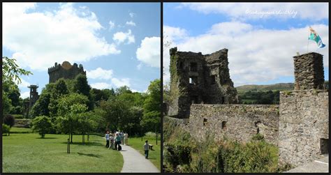 Castles of Cork | Looking Inward with Lily