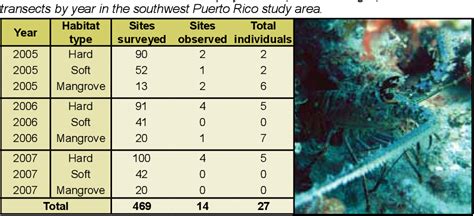 Figure 1 1 From Coral Reef Ecosystems Of Reserva Natural De La Parguera