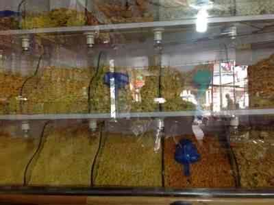 Shree Bikaner Mithaiwala In Mira Road East Mumbai Best Sweet Shops In