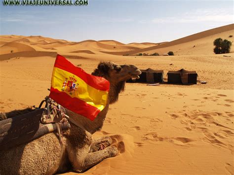 Espa Oles En El Desierto Vivac En El Desierto Hassi Labied Marruecos