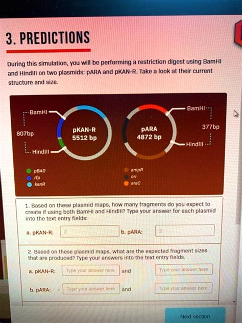 Solved Predictions During This Simulation You Will Be Performing