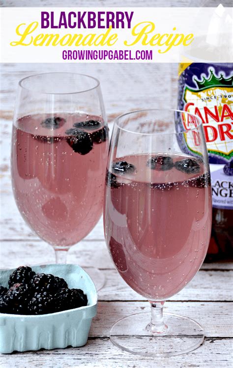 Easy And Delicious Blackberry Lemonade Recipe