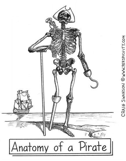 Pirate Anatomy Pirate Tattoo Pirate Skeleton Skeleton Tattoos