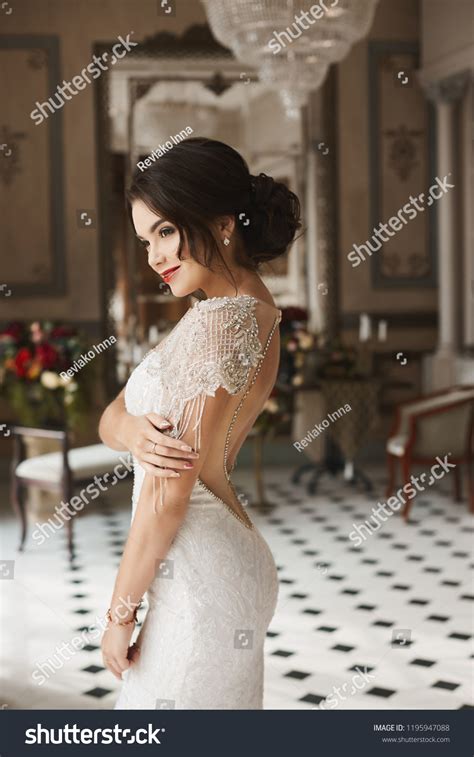 Sexy Sensual Brunette Model Girl Bright Stock Photo 1195947088 Shutterstock