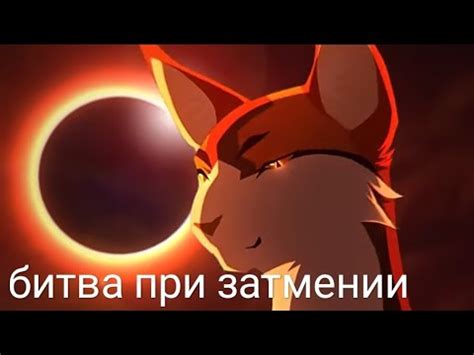 коты воители, битва при затмении #ВОЗРАДИМРУКВ - YouTube