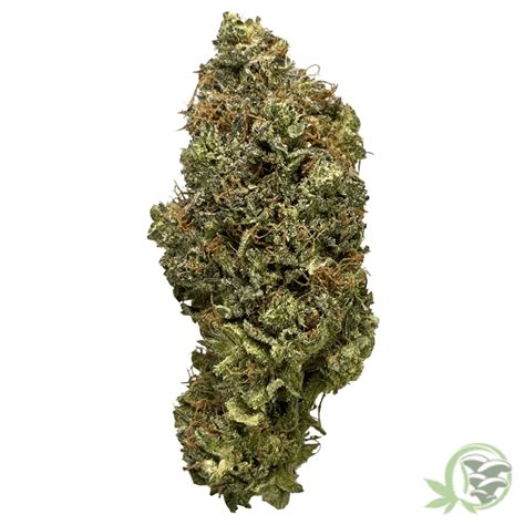 Buy 9 Pound Hammer - Craft Cannabis Strain - In Canada