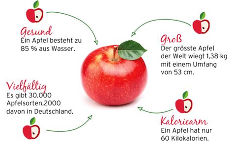 Äpfel Alles Rund Um Das Gesunde Obst Kücheandco