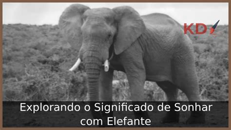 Significado De Sonhar Elefante Desvende Os Mist Rios Desse Sonho