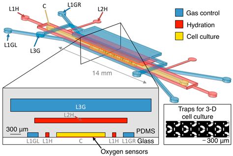 Sensors Free Full Text Designing A Microfluidic Device With