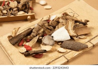 Chinese Herbal Medicine Selection Old Book Stock Photo 2293243443 ...