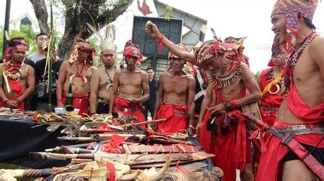 Tradisi Ngayau Suku Dayak Berburu Dan Penggal Kepala Musuh