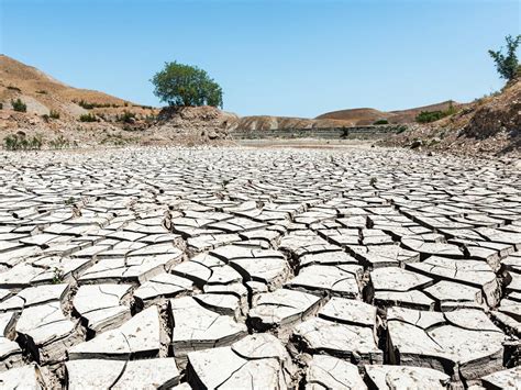 Efectos Del Cambio Climático Son Más Devastadores En Latinoamérica Y El Caribe