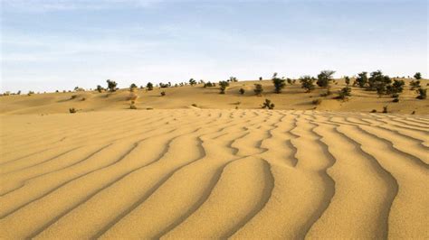 Thar Desert Wikipedia 54 Off