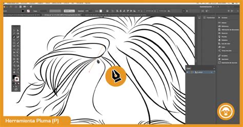 Aprende cómo vectorizar una imagen en Adobe Illustrator Diseño