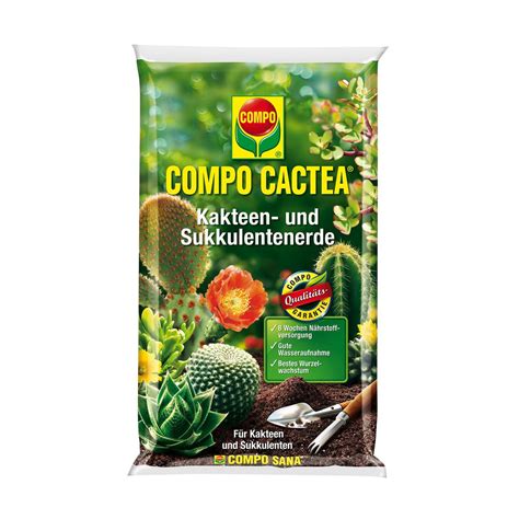 COMPO CACTEA Kakteen Und Sukkulentenerde 5 Kaufland De