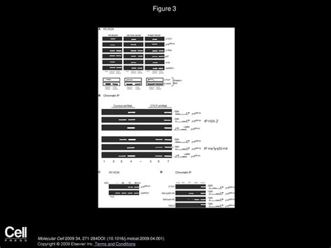 Epigenetic Silencing of the p16INK4a Tumor Suppressor Is Associated ...