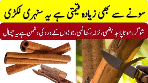 Benefits Of Cinnamon For Health Skin Weight Loss Diabetes And