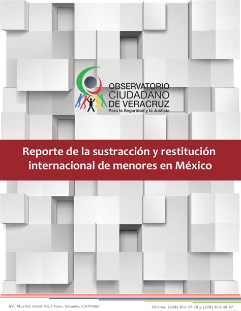 Reporte De La Sustracci N Y Restituci N Internacional De Menores En