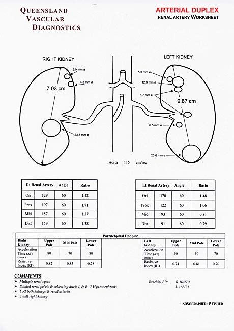 Renal Artery Duplex Queensland Vascular Diognostics