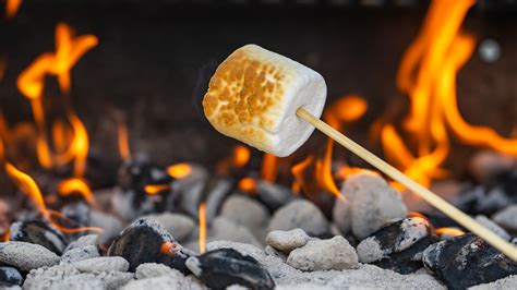 As It Turns Out Marshmallows Have Been Around Since Ancient Times