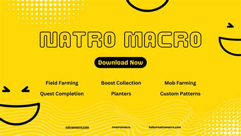 Natro Macro v1.0.0.2 Official ️ [Direct Download]