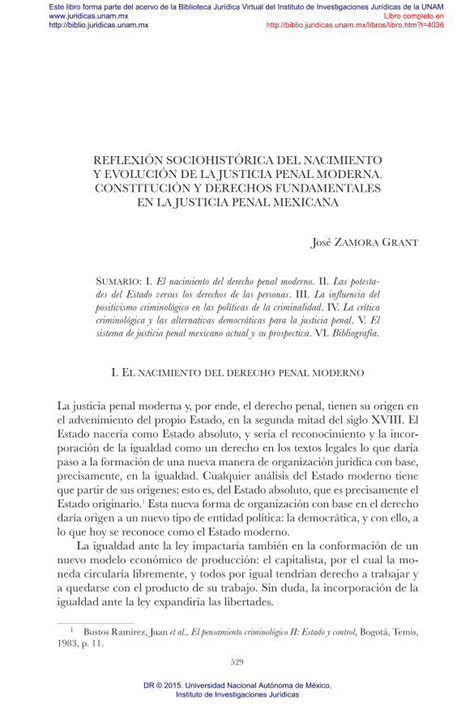 Pdf Reflexi N Sociohist Rica Del Nacimiento Y Evoluci N De