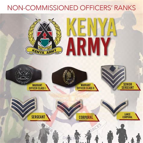 Kenya Defence Forces (KDF) Ranks and Their Salaries - Nairobi Wire