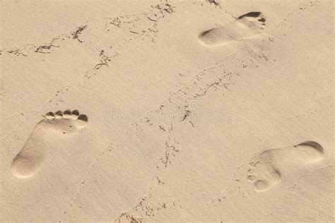 Empreintes De Sable Humide Sur Une Plage Fond Image Stock Image Du