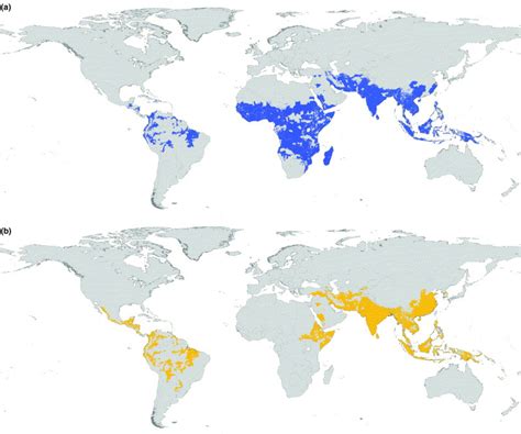 Mapping The Global Extent Of Malaria In Trends In Parasitology