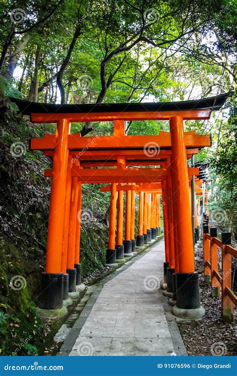 Torii Gates in Fushimi Inari Shrine - Kyoto, Japan Stock Photo - Image ...