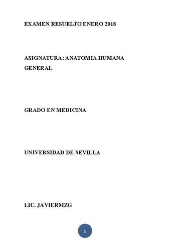 EXAMEN RESUELTO ENERO 2018 Pdf