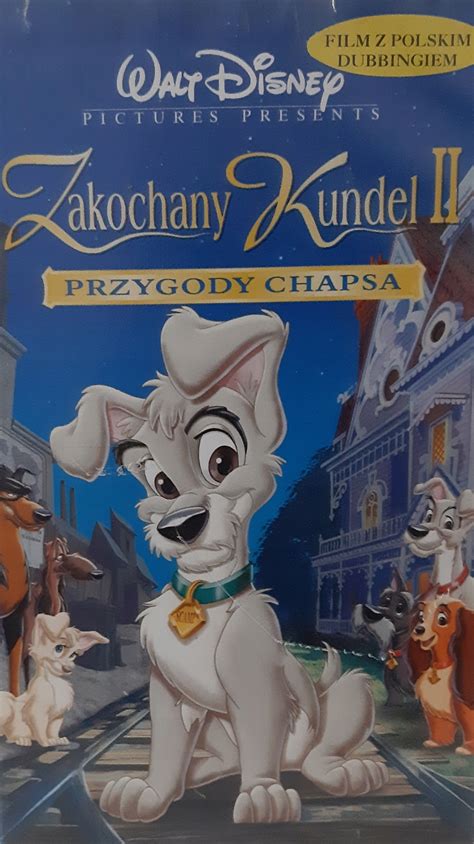 Vhs Zakochany Kundel Ii Przygody Chapsa Sklepy Opinie