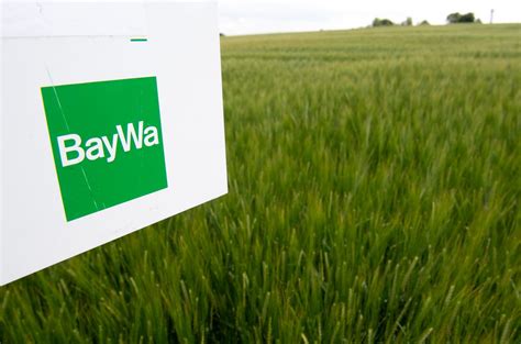 Baywa Plant Stellenabbau Und Schlie Ung Von Standorten