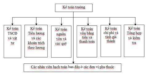 Chi Ti T V C C M H Nh T Ch C B M Y K To N Trong Doanh Nghi P